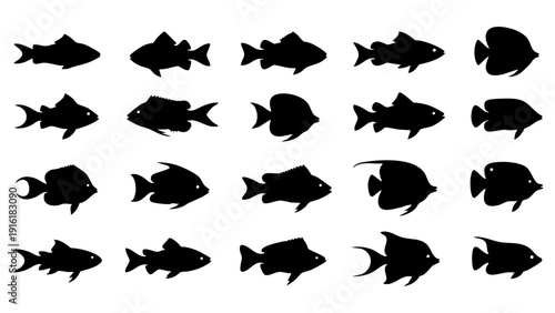 Vector collection of different fish silhouettes for marine life icons and aquatic nature designs