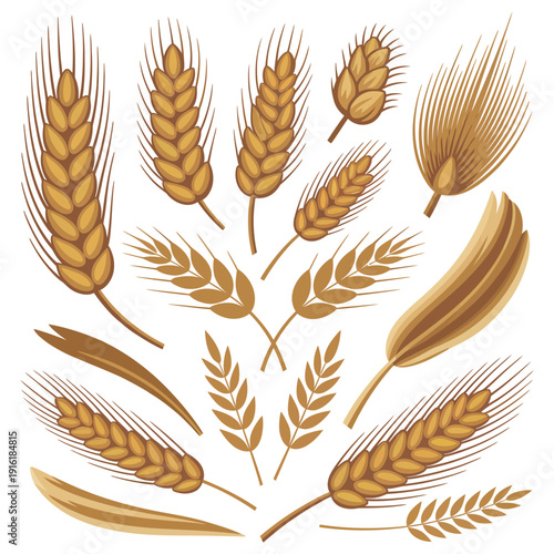wheat ears vector