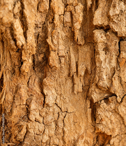 Close up rough tree bark texture natural brown wood background

