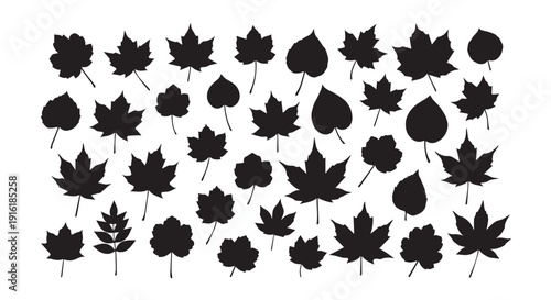 Collection of various black leaf silhouettes on white background