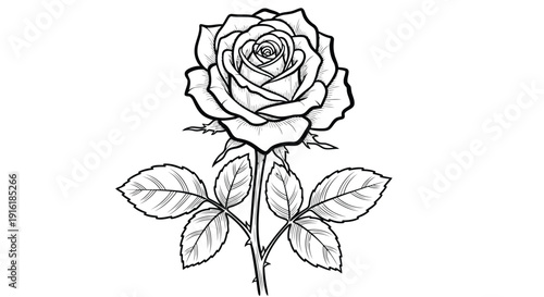 Elegant black and white rose illustration with leaves