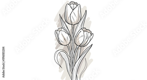 Elegant tulip flowers in modern minimalist line art style