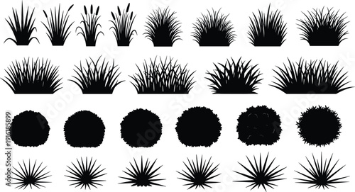 Ornamental grass and shrub silhouettes pack, flat vector illustration, botanical garden plants set, decorative foliage collection, isolated nature clipart