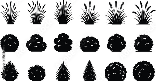 Ornamental grass and shrub silhouettes set, flat vector illustration, botanical garden plants collection, decorative foliage elements, isolated nature clipart