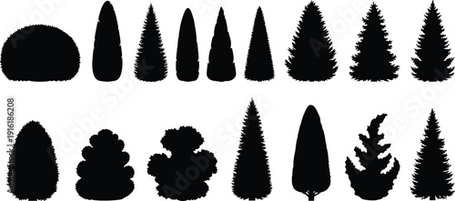 Topiary and conifer tree silhouettes set, flat vector illustration, ornamental garden shrubs collection, botanical landscape elements, isolated nature clipart