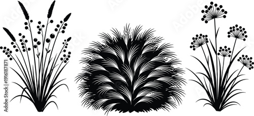 Wild ornamental grass and floral silhouettes, flat vector illustration, botanical garden plants set, decorative nature foliage, isolated clipart elements