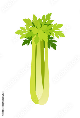 セロリのベクターイラスト｜香味野菜・フラットデザイン（Celery Vector Illustration）