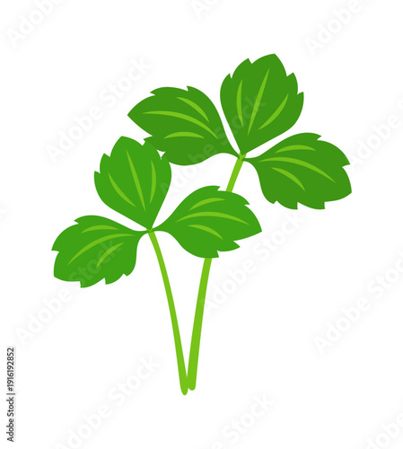 三つ葉のベクターイラスト｜春の和食食材・香味野菜（Mitsuba Japanese Parsley Vector Illustration）