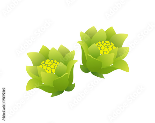 ふきのとうのベクターイラスト｜春の山菜・つぼみ（Butterbur Sprout Vector Illustration）