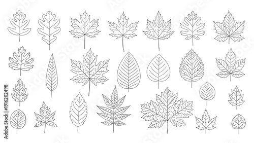 Detailed black and white pattern featuring various hand drawn leaf outlines and botanical sketches on a white background for coloring.