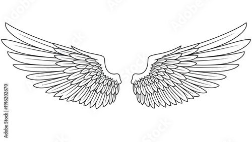 Highly detailed black and white illustration of a large pair of spread feathered wings isolated on a white background.