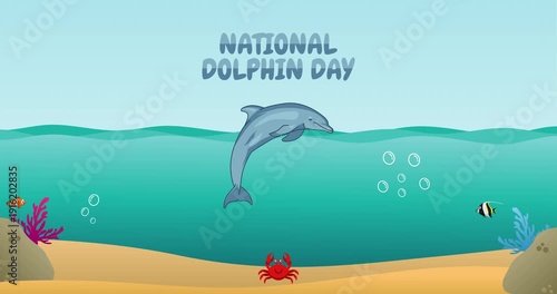 national dolphin day motion video, ideal for national dolphin day celebration