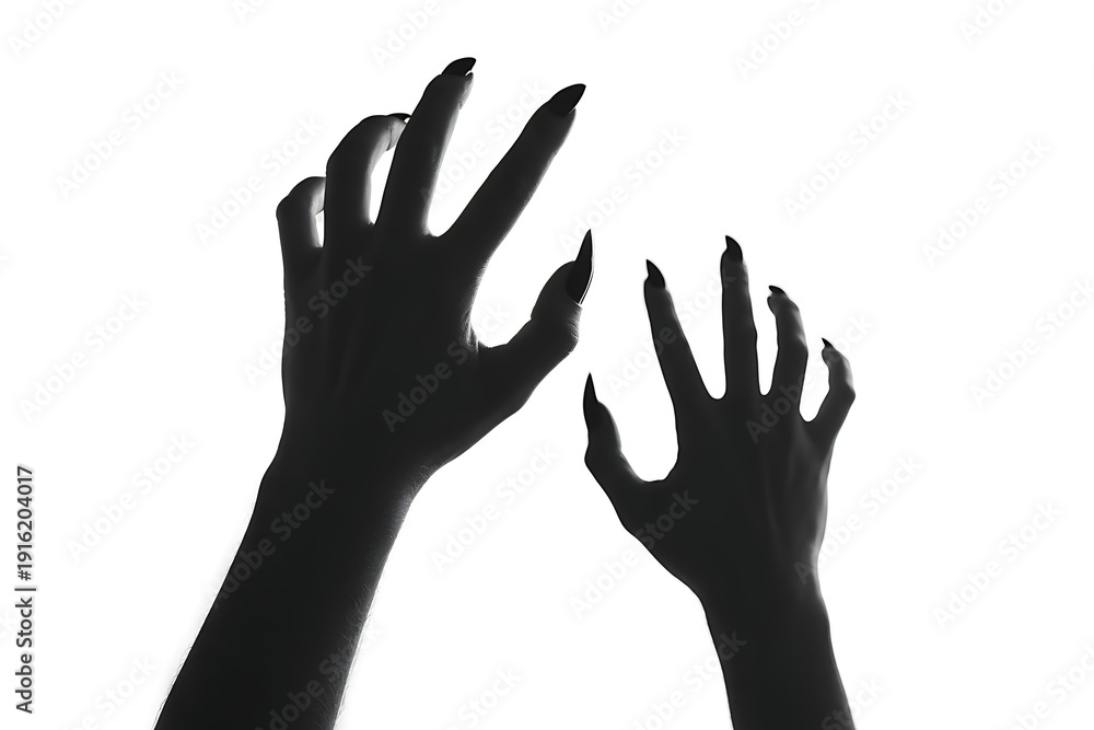 Obraz premium Dramatic Silhouette of Creepy Hands with Long Pointed Nails Reaching Out Against a Pure White Background
