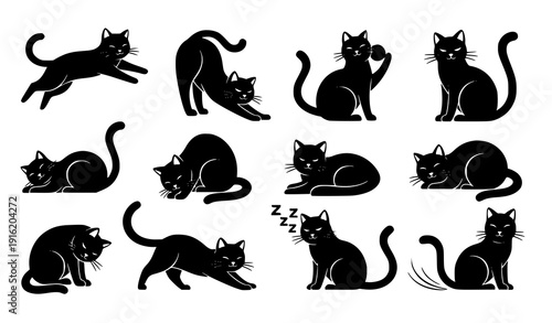 Playful cat silhouette poses vector set jumping sitting stretching feline shapes isolated on white