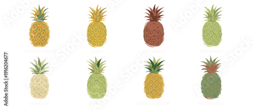 A collection of eight watercolor illustrations of pineapples in various colors and shades, arranged in two rows.