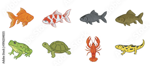 A collection of eight aquatic and semi-aquatic animals, including fish, a frog, a turtle, a lobster, and a salamander, presented against a white background.