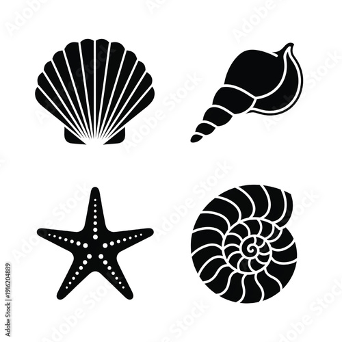 Collection of marine life icons including seashells, starfish, and nautilus, presented in a simple black and white design.