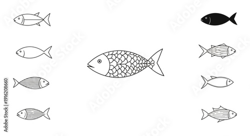 Collection of stylized fish illustrations in various designs.