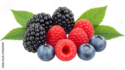 Fresh Mixed Berries Blackberries Raspberries Blueberries Leaves