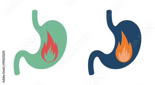 Human Stomach Medical Illustration Depicting Heartburn, Inflammation and Digestive System Issues with Internal Fire Concept