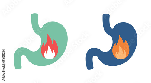 Human Stomach Medical Illustration Depicting Heartburn, Inflammation and Digestive System Issues with Internal Fire Concept