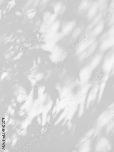 White cement wall background with natural leaf shadow overlay for graphic design