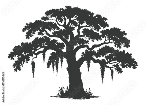 Spanish Moss Draping from Live Oak Tree Silhouette in Vector Illustration Showing Natural Hanging Foliage