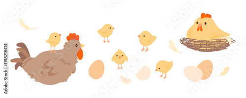 A family of domestic chickens. Chiks, rooster, hen in nest and eggs print. Limited palette vector illustration isolated on white.