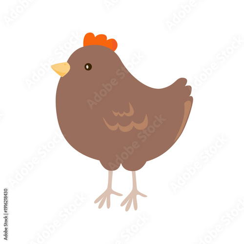 Cute hen vector illustration. Farm animal isolated on white background. Simple handdrawn chicken for childish designs.