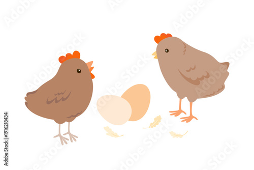 Chickens and eggs vector illustration. Simple hand drawn print on white backgroud. Cute birds characters for nursery poster or card design.