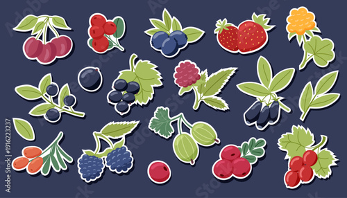 Set of different berries isolated on dark background. Vector flat cliparts. Concept of healthy food, summer.