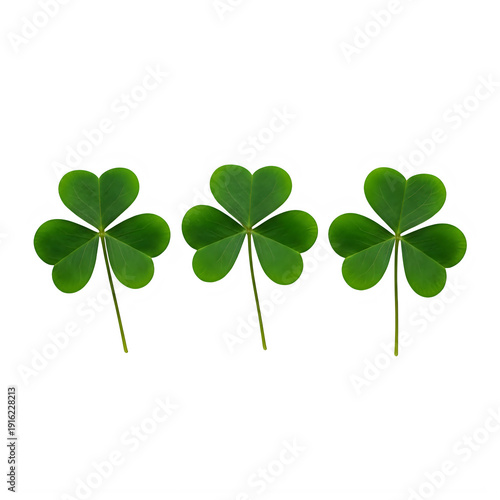 Four vibrant shamrocks with intricate details and natural green color isolated on transparent background