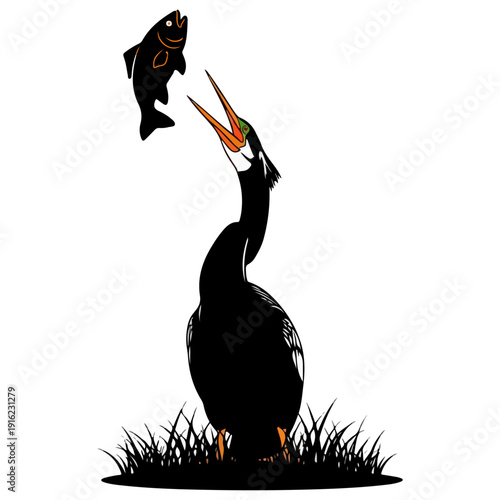 Anhinga Bird Tosses Fish High in Dramatic Catch Moment