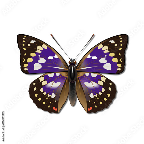 ~ai-38cf25c1-b54b-49d8-b2c4-a2952b339e08_