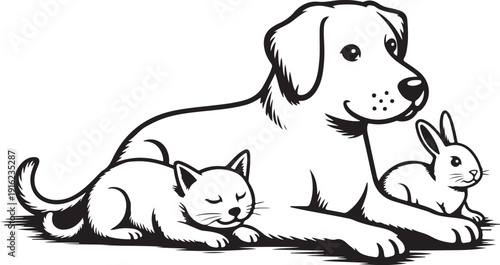 Vector group of pets - Dog, cat, bird, rabbit, isolated on white