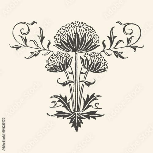 Vintage floral ornamental illustration, a symmetrical black and white design featuring blooming allium flowers and swirling vines, perfect for elegant invitations or decorative accents.