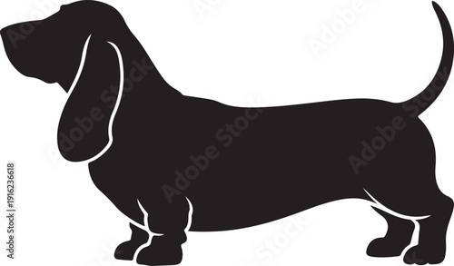 Vector black silhouette of a standing basset hound dog isolated on a white background.