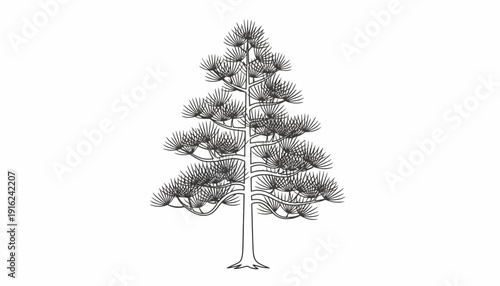 Hand-drawn Pine Tree Illustration, Vintage Style, Isolated on White Background