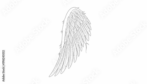 Detailed Sketch of a Single Angel Wing with Feathers