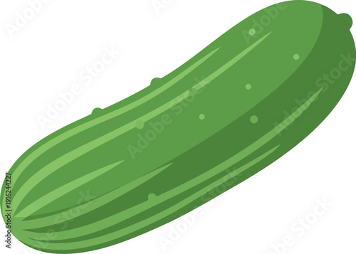Fresh Green Cucumber Vegetable Illustration