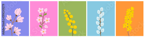 Spring flower set spring vector collection on pastel backgrounds. Cherry blossom, mimosa, willow and forsythia branches