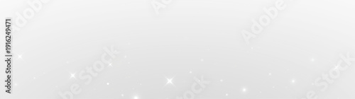 Luxury Christmas Light Dust