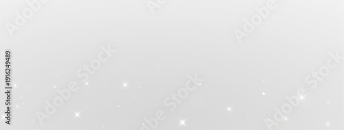 Luxury Christmas Light Dust