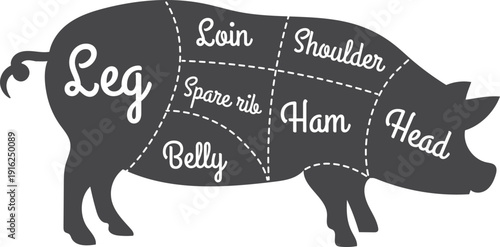 Pig silhouette with meat cutting scheme. Butchery diagram