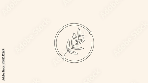 Minimalist botanical illustration of olive branch in circle.