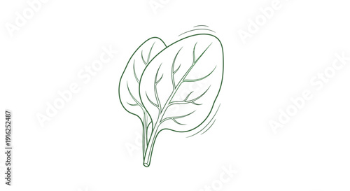 Spinach Leaves Line Art Icon, Fresh Green Vegetable, Healthy Food, Minimalist Design