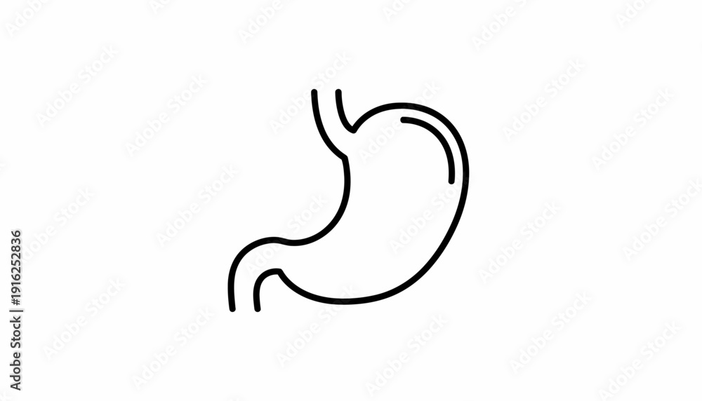 Fototapeta premium Stomach icon, simple outline drawing of human organ, medical symbol, health care concept