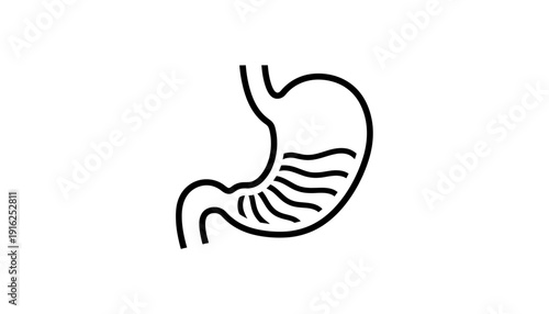 Stomach Icon Outline Vector Illustration - Digestive System Organ Symbol