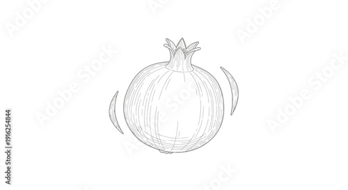 Pomegranate Sketch Drawing - Fresh Fruit Illustration on White Background