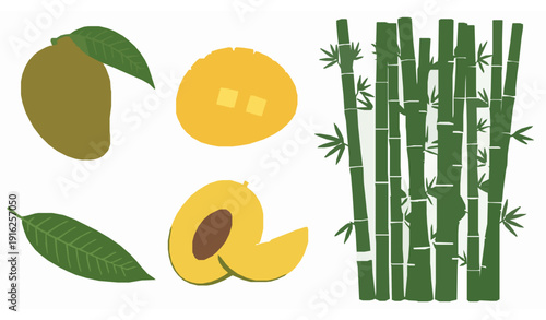 Wild jungle chicken flat vector illustration forest bird set